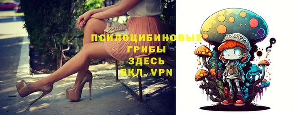 ГАЛЛЮЦИНОГЕННЫЕ ГРИБЫ Михайловка