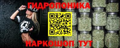 прущие грибы Волжск