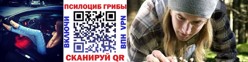 Псилоцибиновые грибы MAGIC MUSHROOMS  Камень-на-Оби 