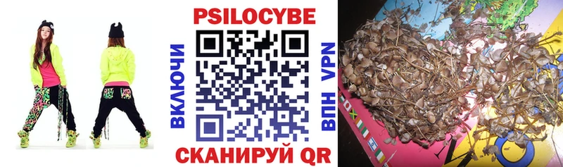 Галлюциногенные грибы Psilocybe Камень-на-Оби