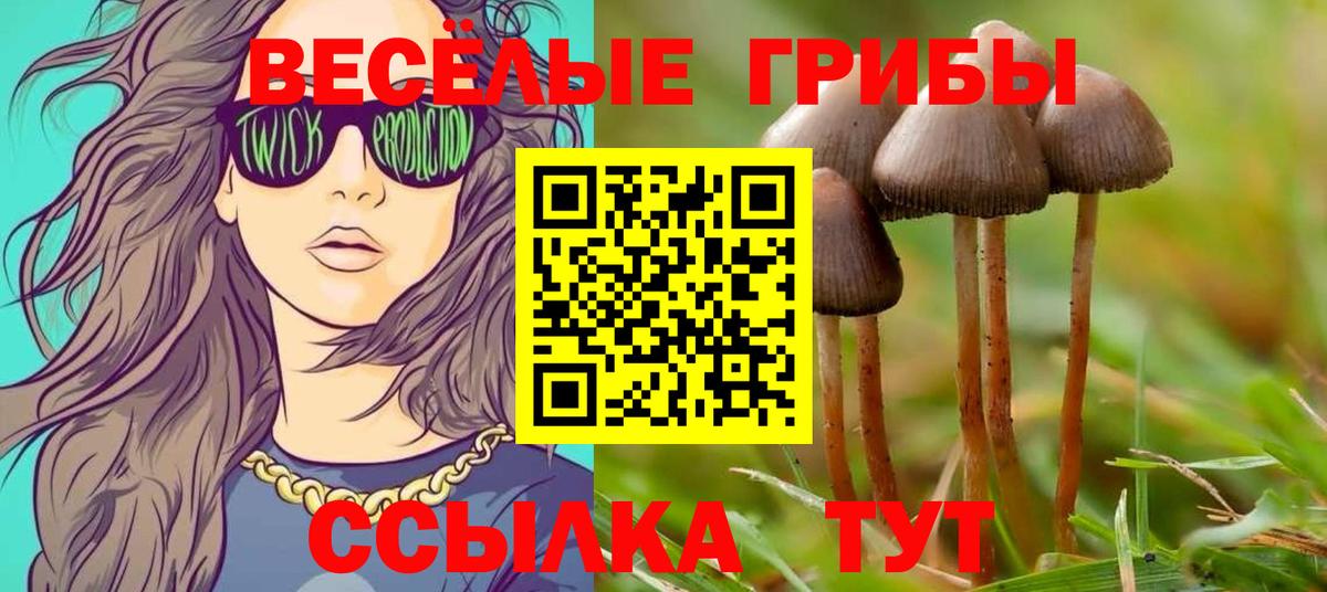 Галлюциногенные грибы ЛСД Камень-на-Оби