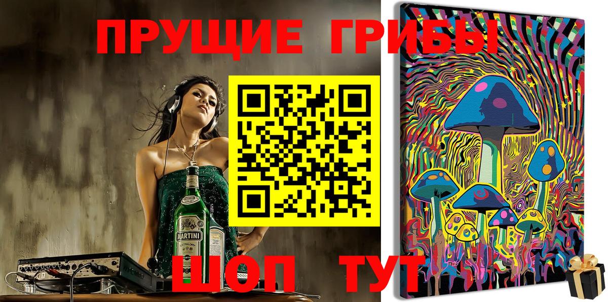 Псилоцибиновые грибы мицелий Камень-на-Оби