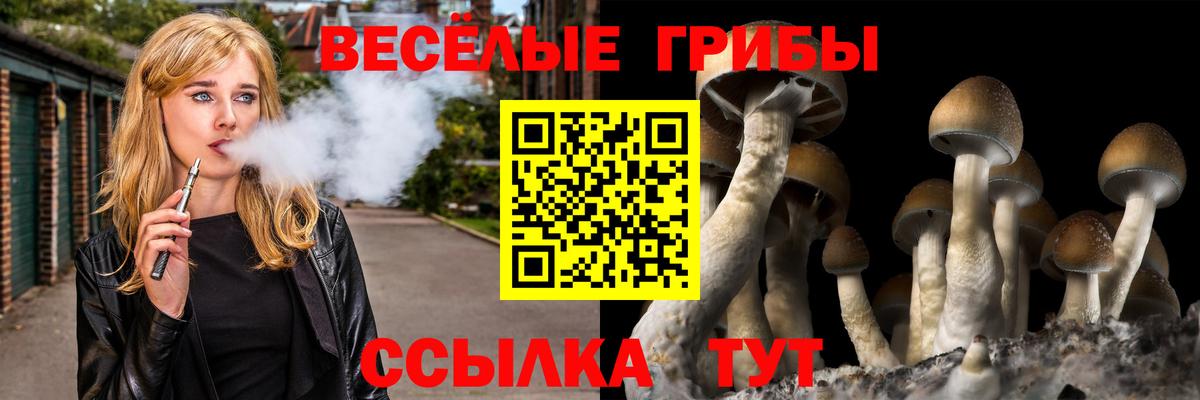 Галлюциногенные грибы мухоморы  Псилоцибиновые грибы GOLDEN TEACHER  Вход с VPN  Камень-на-Оби 